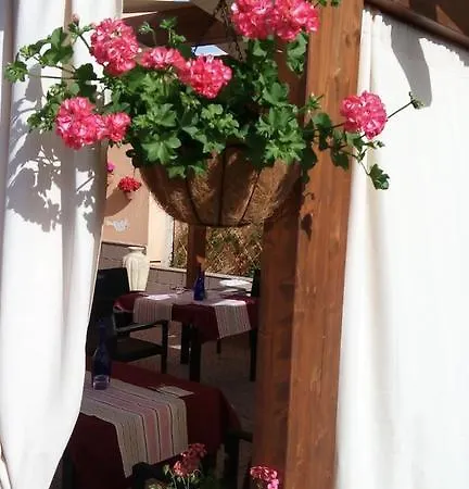 B&B Zahir Da Cleo 카스트로