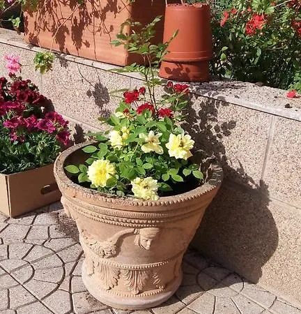 Zahir Da Cleo 카스트로